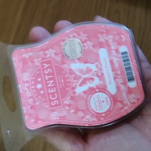 Scentsy Plumeria Peach Bar